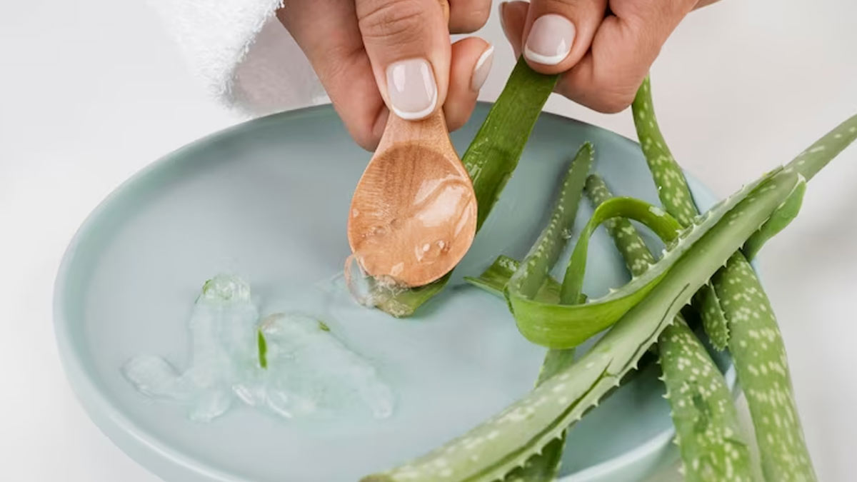 benefits of aloe vera 