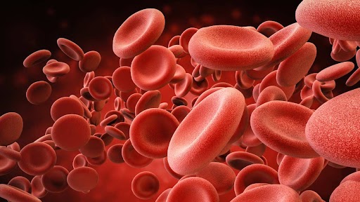 hemophilia causes in kids