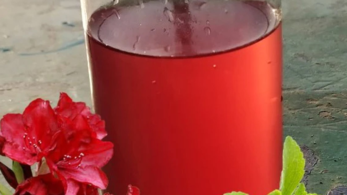 buransh juice for summer