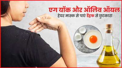 गर्मी में डैंड्रफ हटाने के लिए बालों में लगाएं अंडे और ऑलिव ऑयल से बना हेयर मास्क