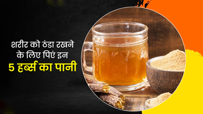 गर्मियों में पानी में डालकर पिएं ये 5 हर्ब्स, शरीर रहेगा हाइड्रेटेड और ठंडा