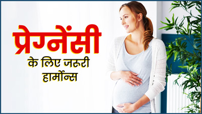 प्रेग्नेंसी प्लान कर रही हैं, तो चेक करें इन 10 हार्मोन्स का संतुलन, गर्भधारण के लिए हैं जरूरी