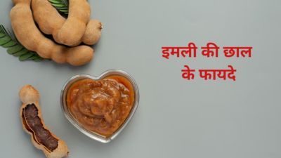 बवासीर, कब्ज और लू जैसी परेशानियों में करें इमली की छाल का इस्तेमाल, मिलेगा फायदा