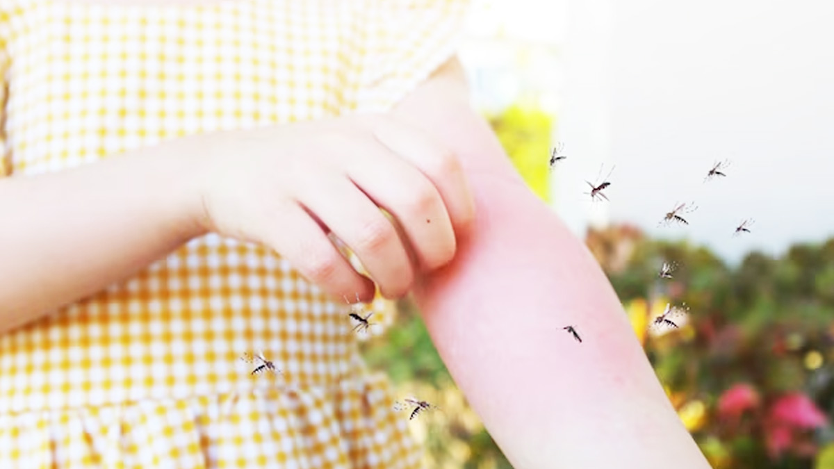 Homemade-Mosquito-Repellent