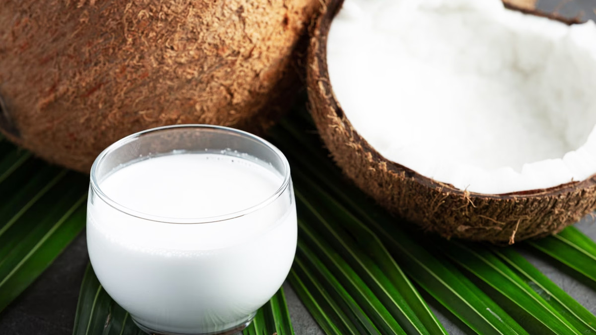 Coconut Malai Benefits for Pregnancy Morning Sickness in Hindi