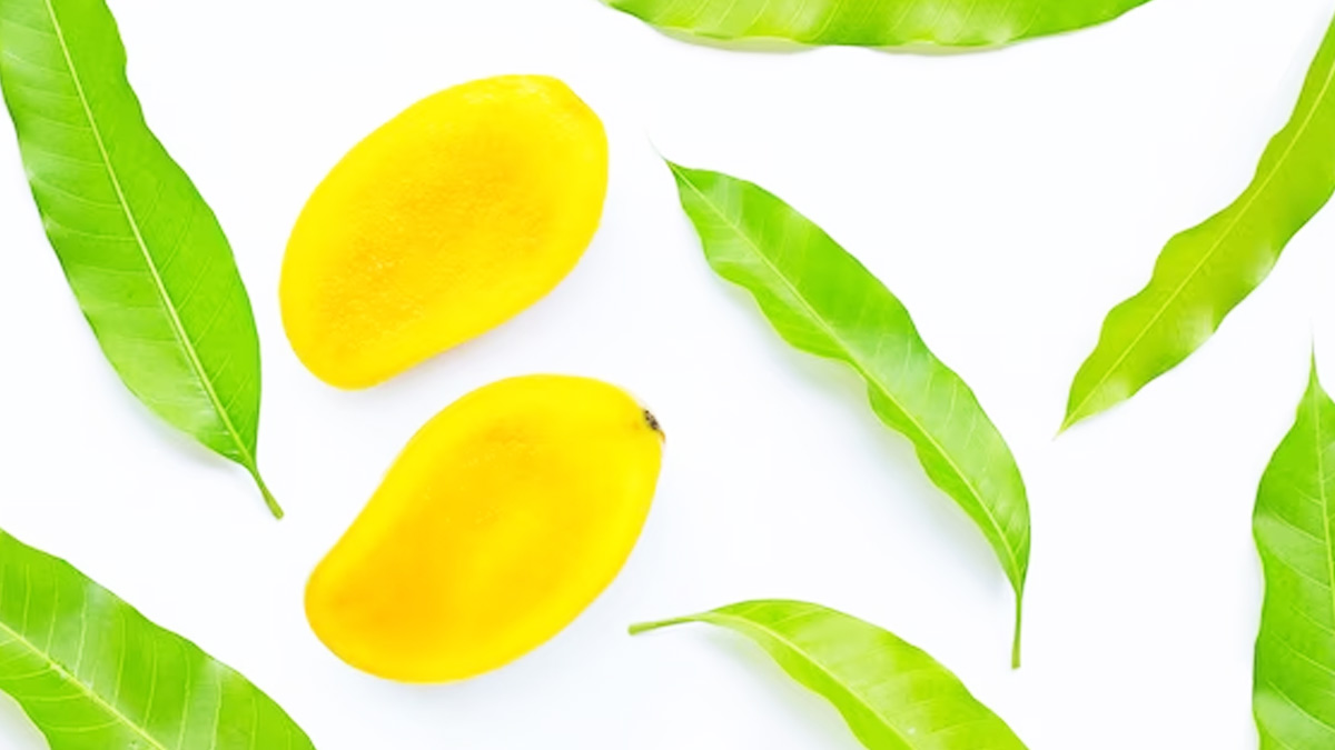 Mango Leaves Benefits In Hindi