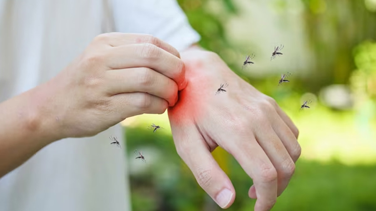 Can A Person Get Malaria More Than Once In Hindi