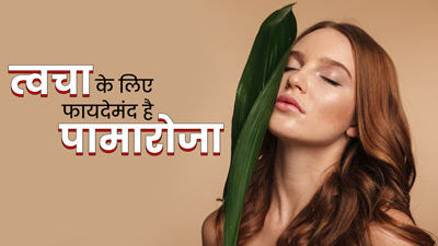 त्वचा के लिए फायदेमंद है पामारोजा (रोशा घास), एक्ने और सोरायसिस में मिलता है फायदा