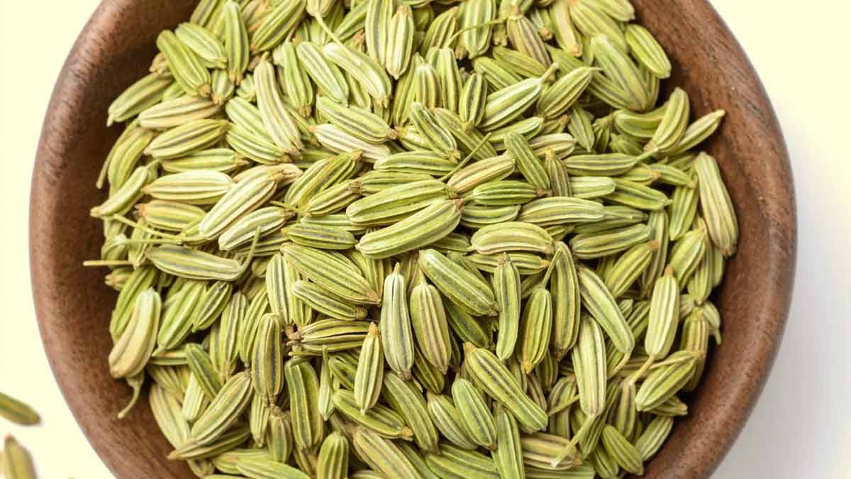 fennel for summer