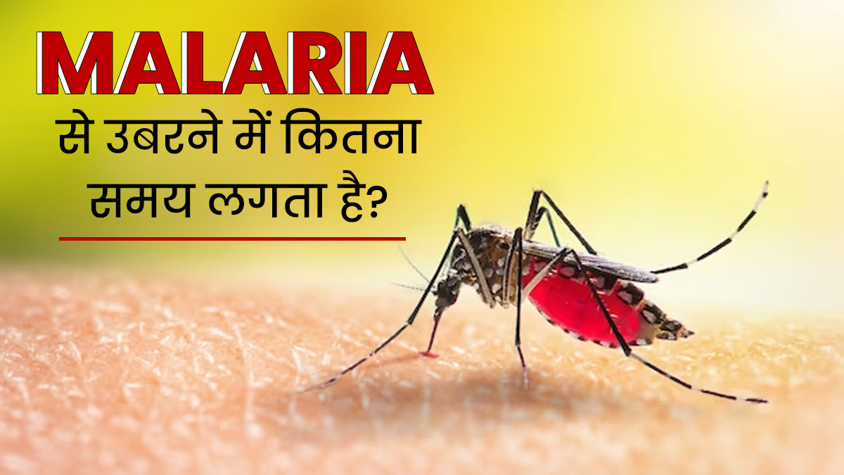 मलेरिया से पूरी तरह ठीक होने में कितना समय लगता है? जानें क्या कहते हैं डॉक्टर
