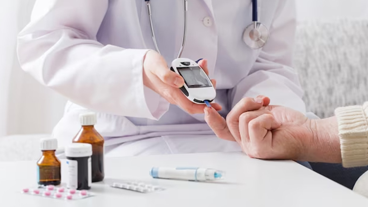 jackfruit seeds flour for diabetes in hidi