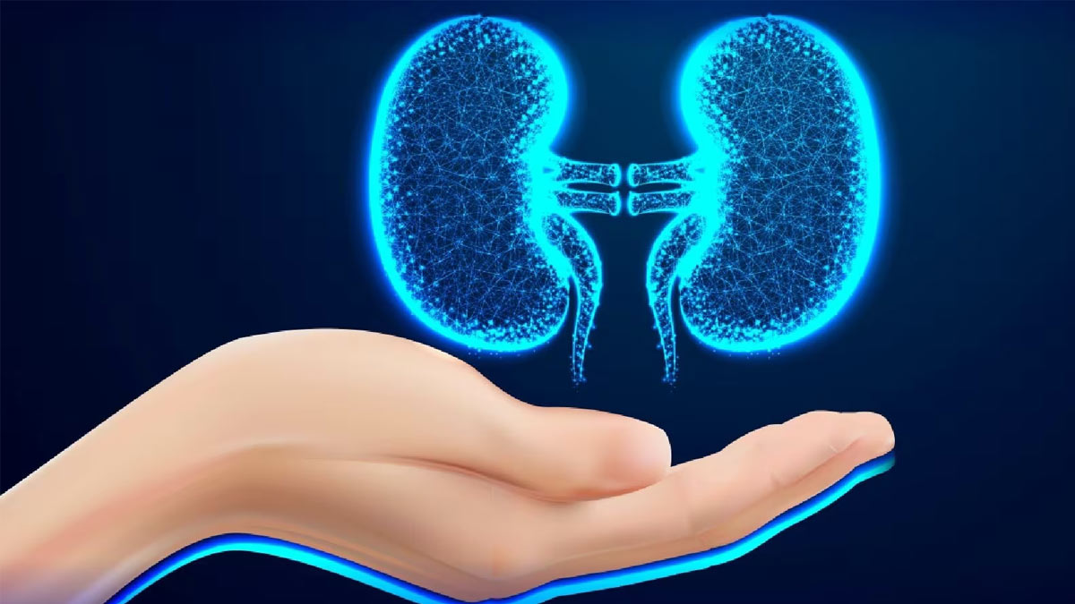 Kidney Damage: हाई ब्लड शुगर से किडनी खराब होने के संकेत हैं ये 5 लक्षण, डायबिटीज रोगी न करें नजरअंदाज