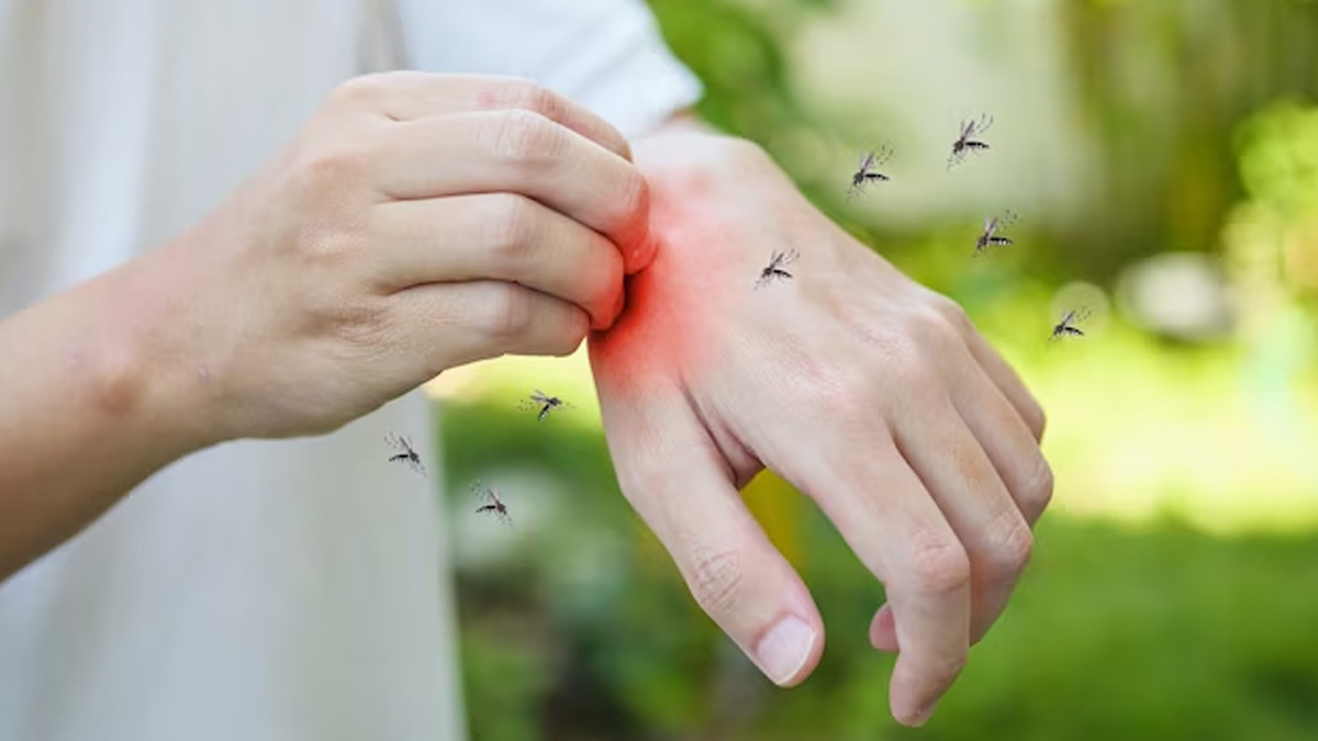 malaria recovery time