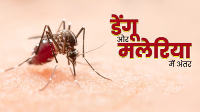 World Malaria Day: अलग होते हैं मलेरिया और डेंगू के लक्षण, ऐसे करें पहचान