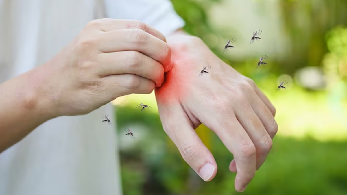 Malaria Causes In Hindi