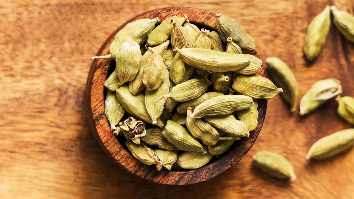 Spices-For-Stomach-Burning