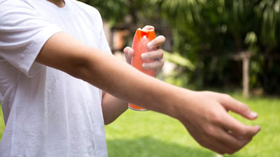 World Malaria Day 2023: These 6 Essential Oils Keep Malaria Mosquitoes At Bay