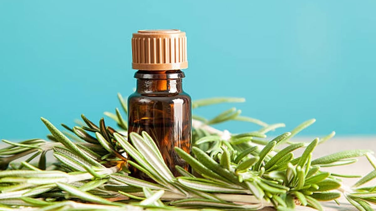 rosemary benefits 