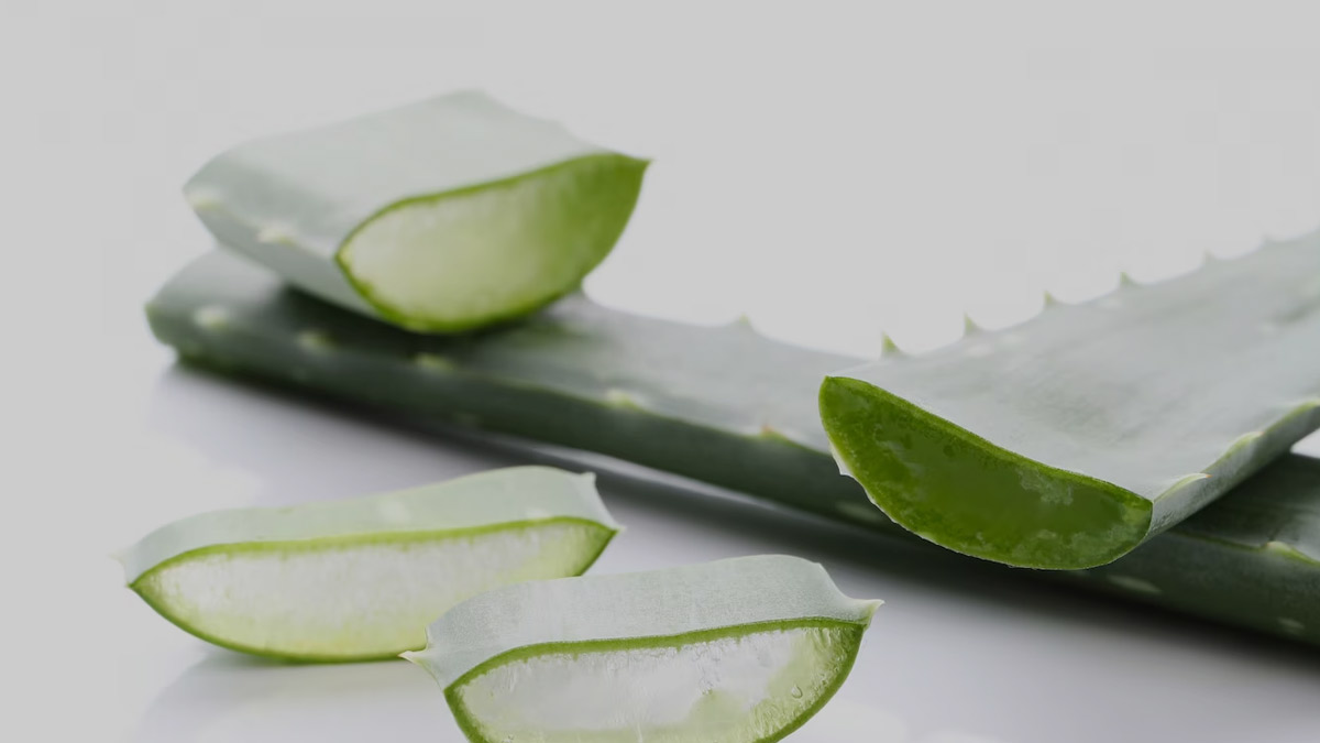 Aloevera-For-Pigmentation