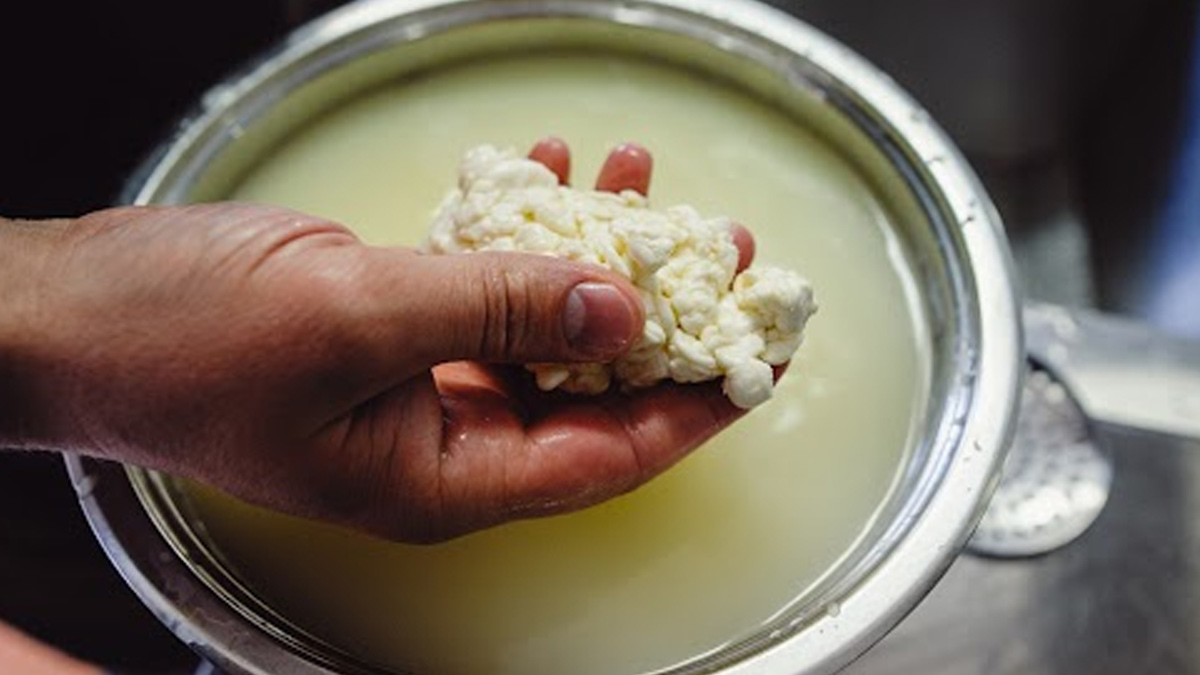 Paneer Ke Pani ki Recipe: दूध को फटाकर पनीर बनाने के बाद बचे हुए पानी से बनाएं ये 7 अमेजिंग हेल्थी रेसिपी 