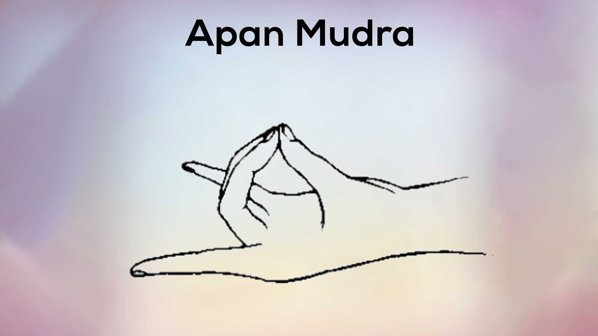 apan mudra