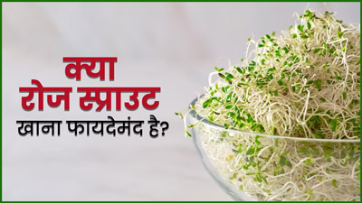 क्या रोज स्प्राउट्स खाना सेहत के लिए फायदेमंद हैं? जानें एक्सपर्ट से