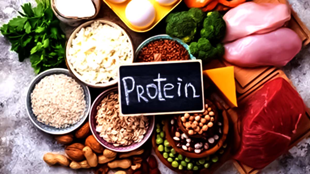 Protein In Diet: Importance & Foods To Incorporate | OnlyMyHealth