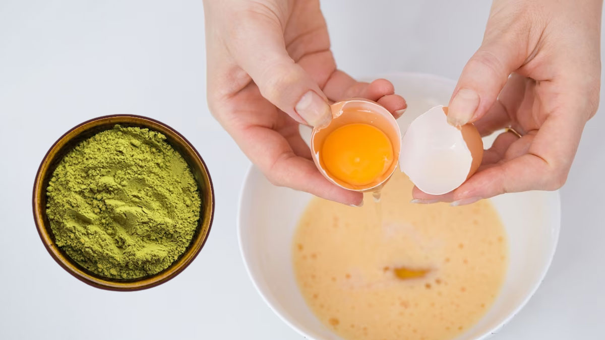 डैंड्रफ से छुटकारा पाने लिए मेहंदी में मिलाकर लगाएं ये 4 चीजें, हेयर