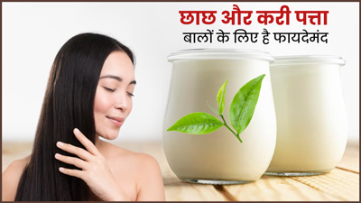 छाछ और करी पत्ते से बालों को बनाएं सिल्की और शाइनी, जानें इसके अन्य फायदे 
