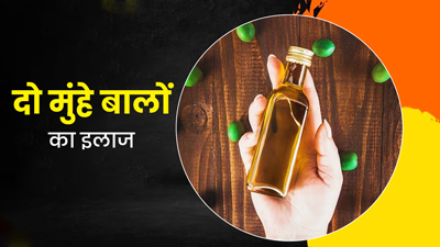 ऑलिव ऑयल से दूर करें दो मुंहे बालों की समस्‍या, इस तरह करें इस्‍तेमाल  