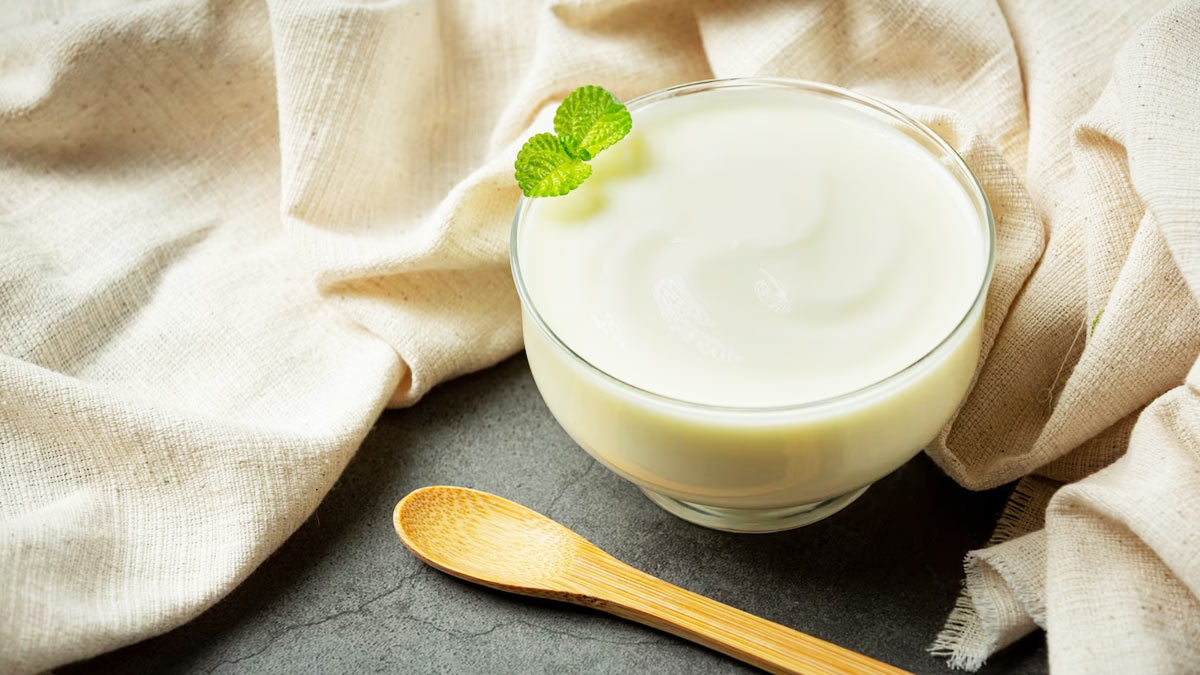 Sugar-or-Salt-in-Curd-