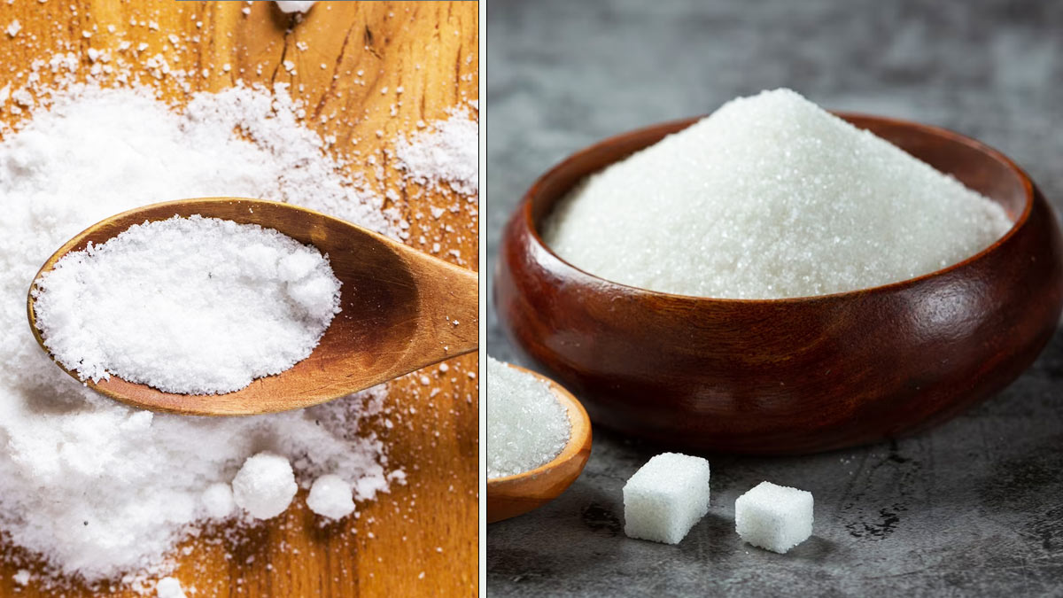 Sugar-or-Salt-in-Curd-