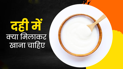 दही में चीनी या नमक, क्या मिलाकर खाना है ज्यादा फायदेमंद? 