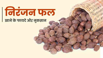  क्या आपने कभी खाया है निरंजन फल? जानें इसके 10 फायदे और संभावित नुकसान