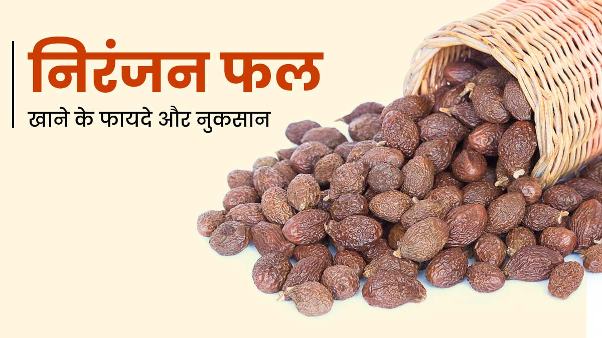  क्या आपने कभी खाया है निरंजन फल? जानें इसके 10 फायदे और संभावित नुकसान