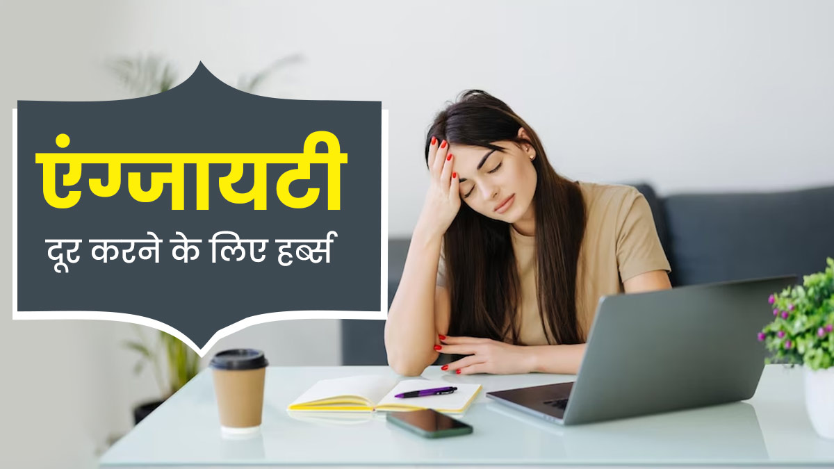 एंग्जायटी से बाहर निकालने में मदद कर सकती हैं ये 5 आयुर्वेदिक जड़ी-बूटियां, जरूर करें सेवन