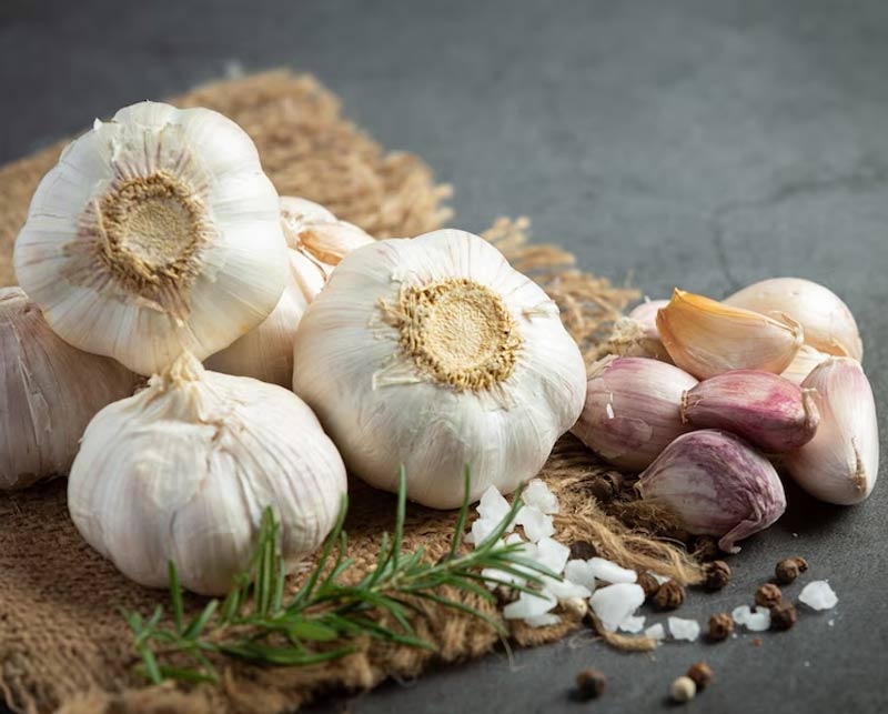 garlic