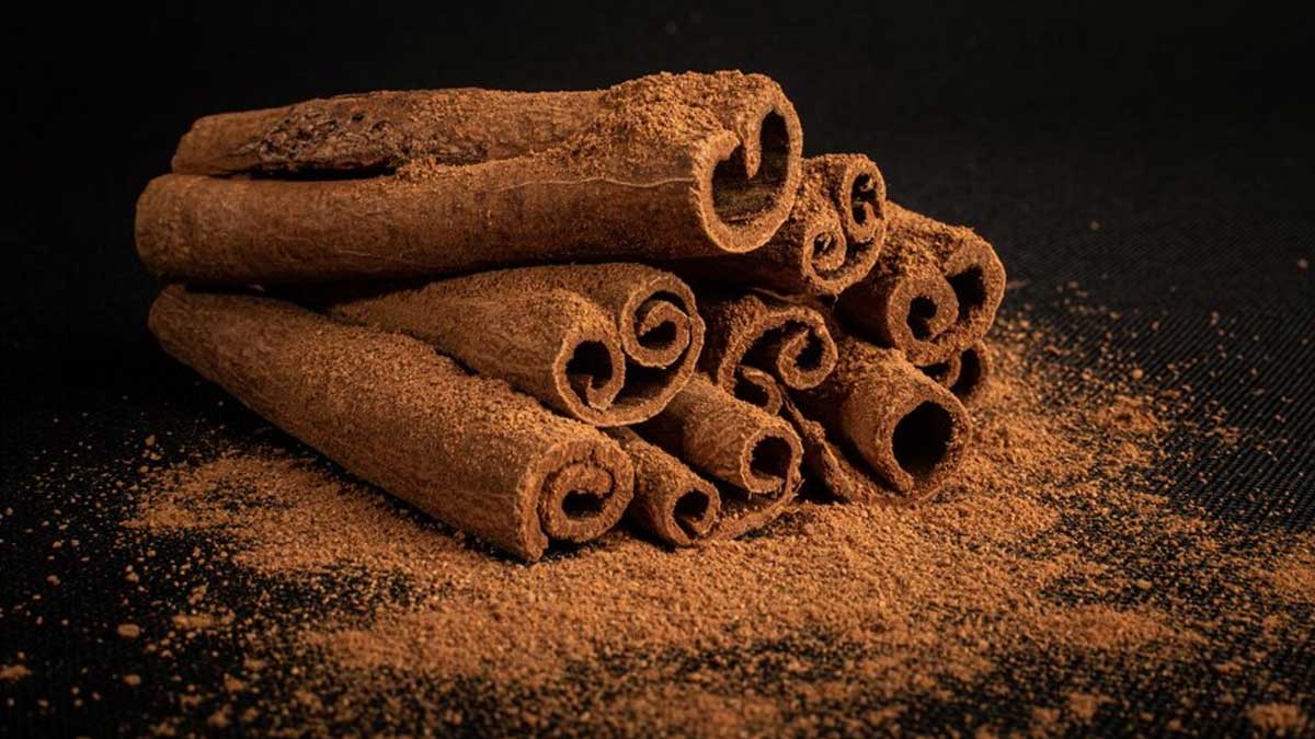 cinnamon benefits in hindi 