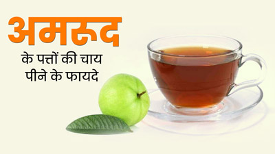 अमरूद के पत्तों की चाय पीने से सेहत को मिलते हैं ये 5 जबरदस्त फायदे, जानें बनाने का तरीका