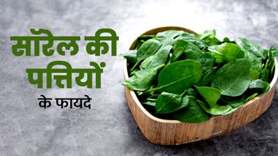 Sorrel Leaves: सॉरेल की पत्तियों का सेवन करने से मिलते हैं ये कई फायदे, जानें खाने का तरीका