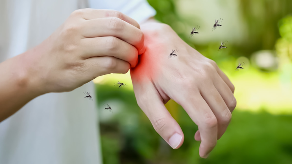 dengue