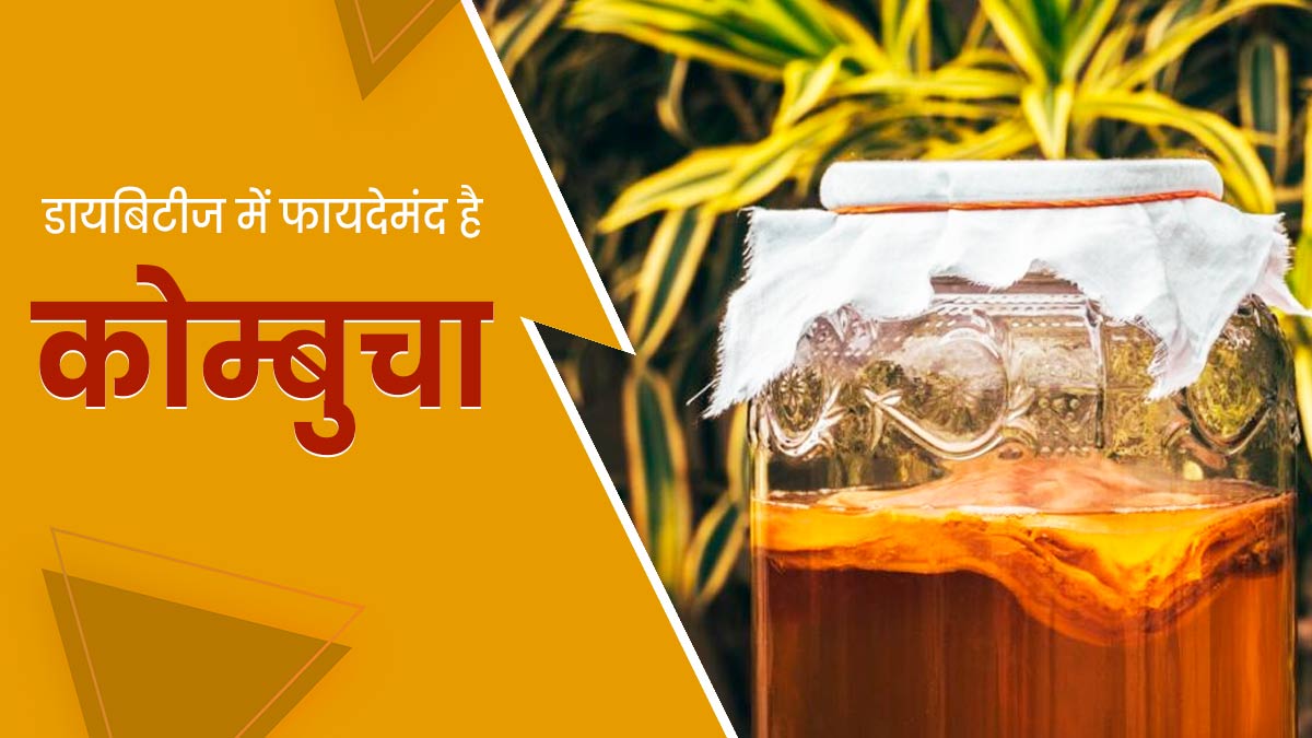 Research : डायबिटीज रोगियों के लिए फायदेमंद हो सकता है कोंबूचा, जानें इसके फायदे 
