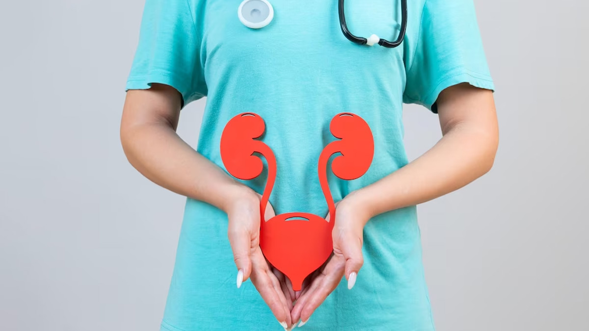 Cranberry Juice Benefits For Kidneys In Hindi