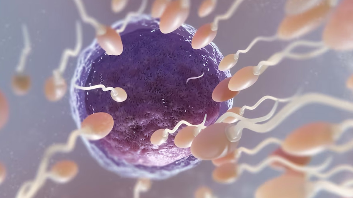 ivf precautions