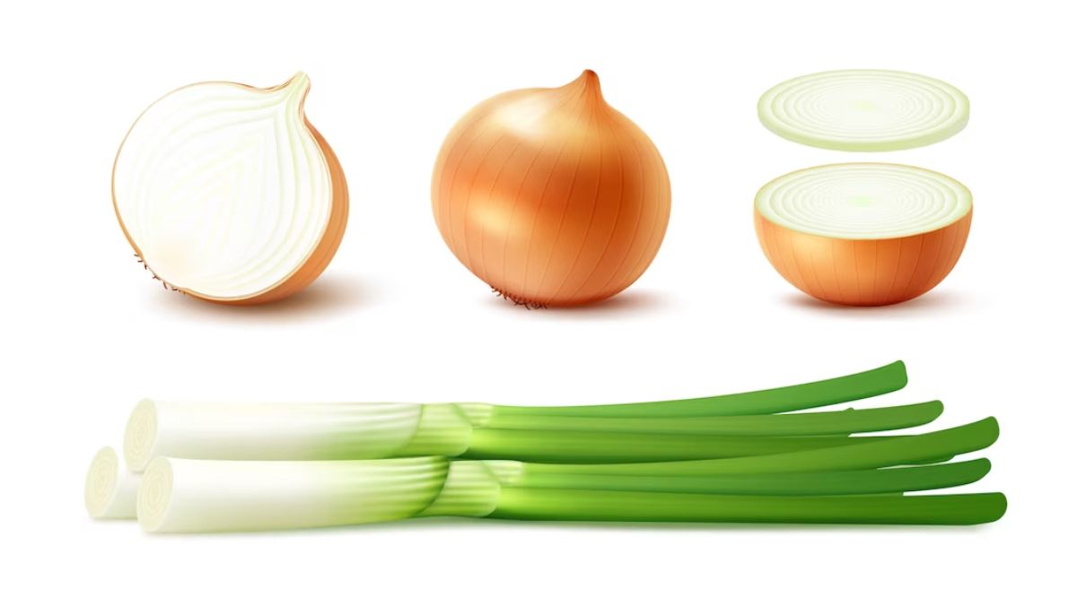Sprouted Onion Benefits To Lower Cholesterol