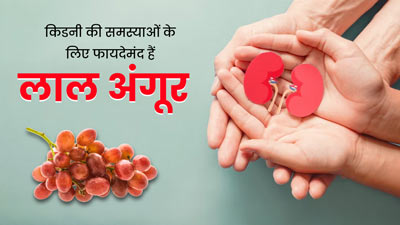 किडनी की कई समस्याओं दूर रखता है लाल अंगूर, जानें इसके फायदे 
