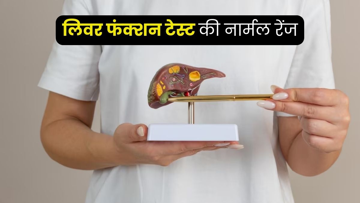 लिवर फंक्शन टेस्ट की नार्मल रेंज क्या होनी चाहिए? जानें डॉक्टर से