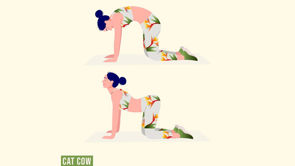 Targeted-Upper-Body-Exercises-Cat-Cow-Stretch