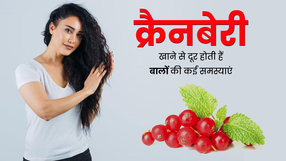 क्रैनबेरी खाने से दूर होती हैं बालों की कई समस्याएं, इन तरीकों से करें सेवन 