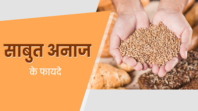 साबुत अनाज खाने से शरीर को मिलते हैं ये 5 जबरदस्त फायदे, डेली डाइट में करें शामिल 